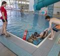 Lifeguard training