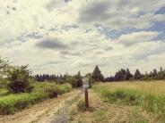 Nature trails surrounding Chehalem Glenn Golf Course