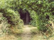 Nature trails surrounding Chehalem Glenn Golf Course