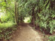 Nature trails surrounding Chehalem Glenn Golf Course