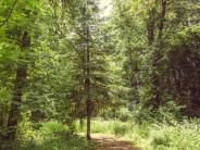 Nature trails surrounding Chehalem Glenn Golf Course