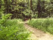 Nature trails surrounding Chehalem Glenn Golf Course