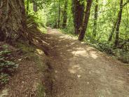 Nature trails surrounding Chehalem Glenn Golf Course