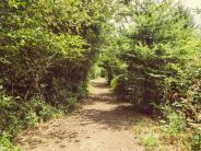 Nature trails surrounding Chehalem Glenn Golf Course