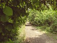 Nature trails surrounding Chehalem Glenn Golf Course