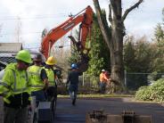 Construction began Nov. 21