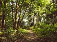 Chehalem Heritage Trails