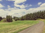 Trails lining Chehalem Glenn Golf Course