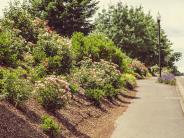 Trails lining Chehalem Glenn Golf Course