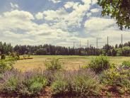 Trails lining Chehalem Glenn Golf Course