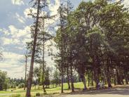 Trails lining Chehalem Glenn Golf Course