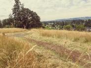 Schaad Park Trail open area