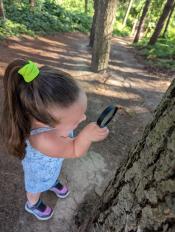 Examining our environment!