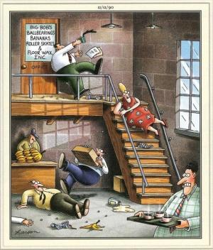 Far Side Safety