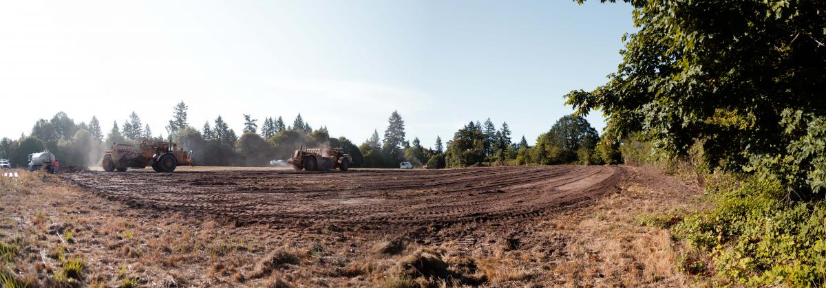 Friends Park grading