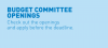 budget committee vacancies